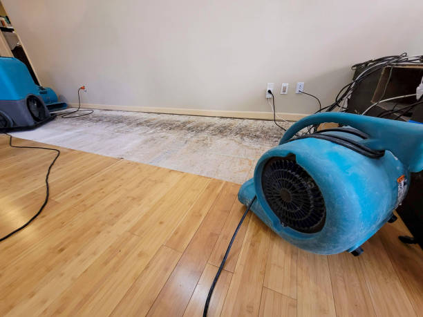 Professional Basement Flood Cleanup technician working in Boynton Beach, FL
